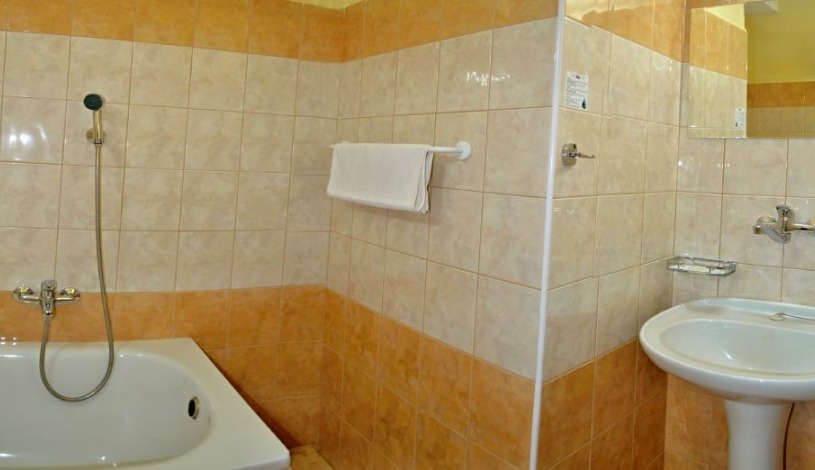 Hotel U TŘÍ LVŮ České Budějovice